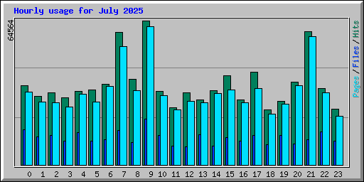 Hourly usage for July 2025